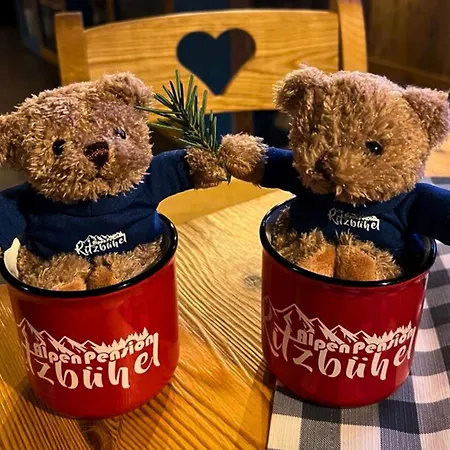 بيت ضيافة Kitzalpen