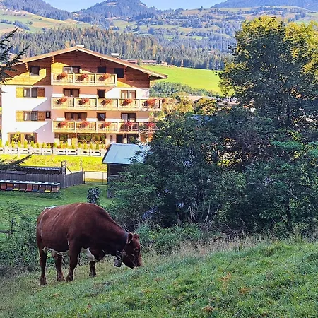 Guest house Kitzalpen 3*