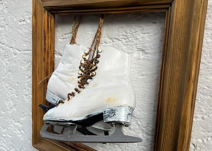 招待所 Kitzalpen 胡勒斯巴赫平